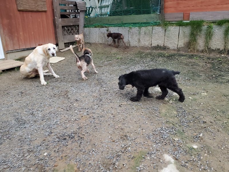 f:id:roukenhome-ann:20191021204829j:plain f:id:roukenhome-ann:20191021204829j:plain