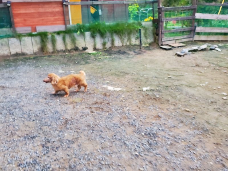 f:id:roukenhome-ann:20191022051335j:plain f:id:roukenhome-ann:20191022051335j:plain