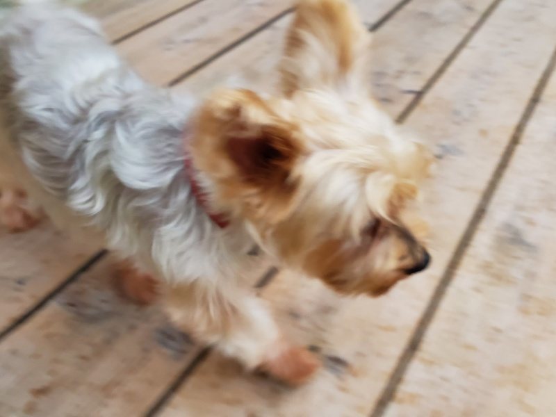 f:id:roukenhome-ann:20191022051342j:plain f:id:roukenhome-ann:20191022051342j:plain