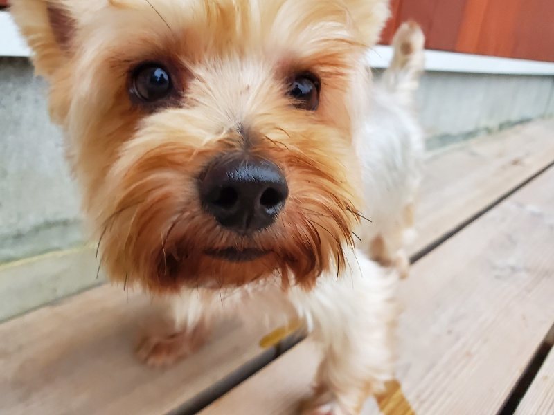 f:id:roukenhome-ann:20191022051347j:plain f:id:roukenhome-ann:20191022051347j:plain