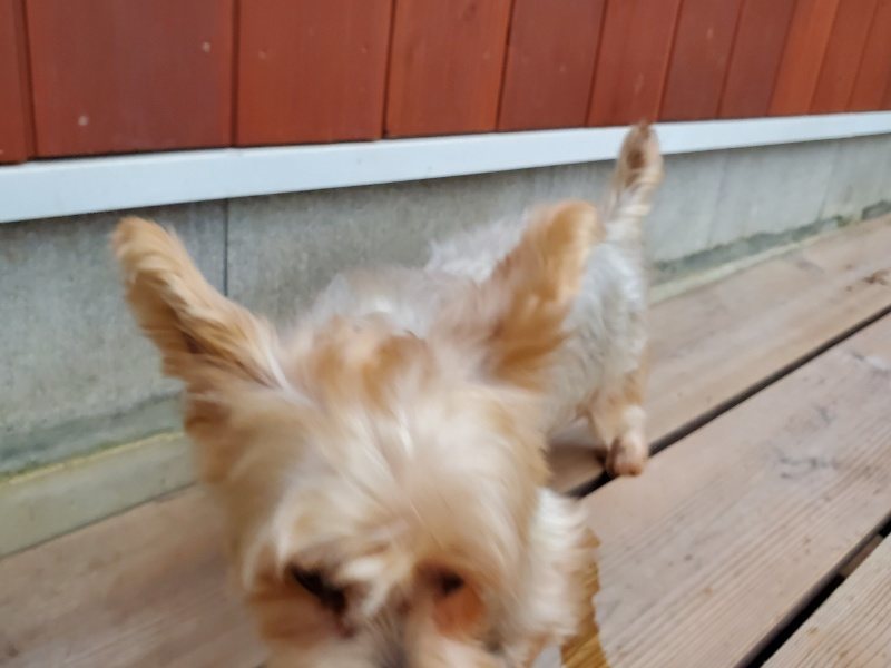 f:id:roukenhome-ann:20191022051351j:plain f:id:roukenhome-ann:20191022051351j:plain