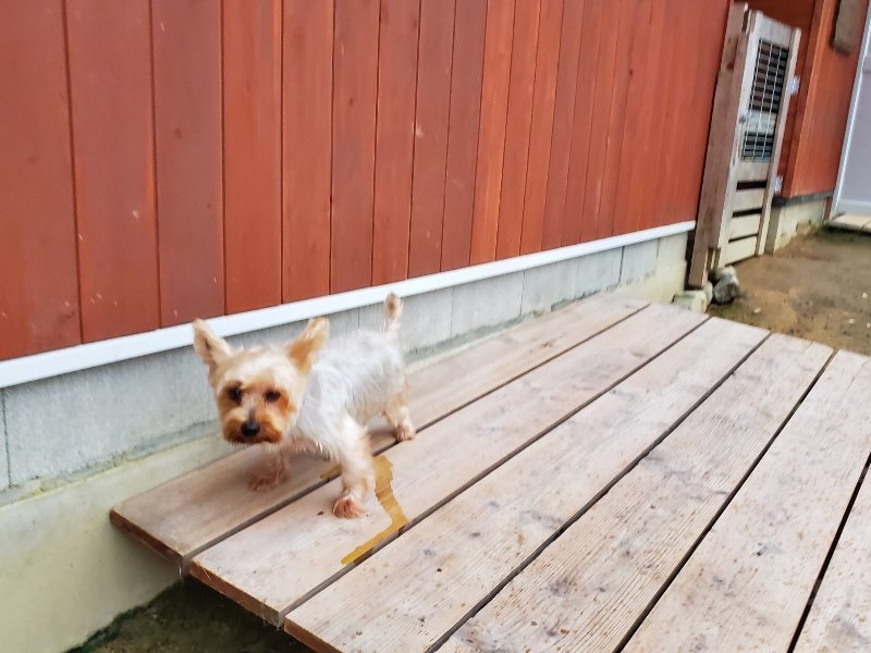 f:id:roukenhome-ann:20191022051357j:plain f:id:roukenhome-ann:20191022051357j:plain