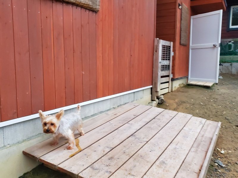 f:id:roukenhome-ann:20191022051415j:plain f:id:roukenhome-ann:20191022051415j:plain