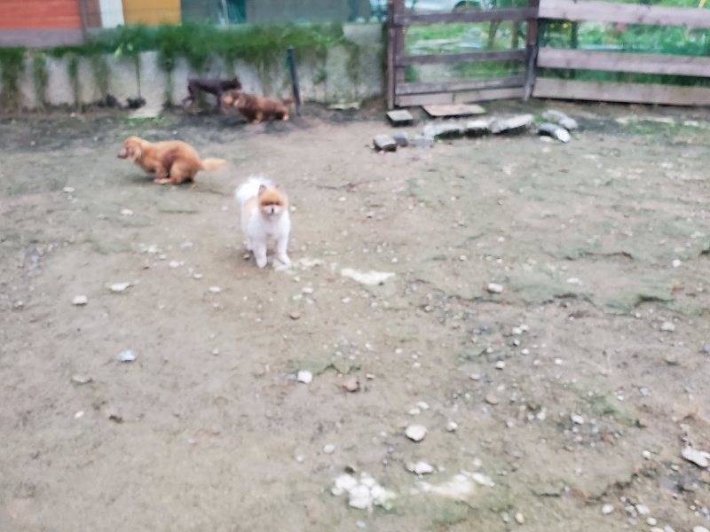 f:id:roukenhome-ann:20191022051420j:plain f:id:roukenhome-ann:20191022051420j:plain