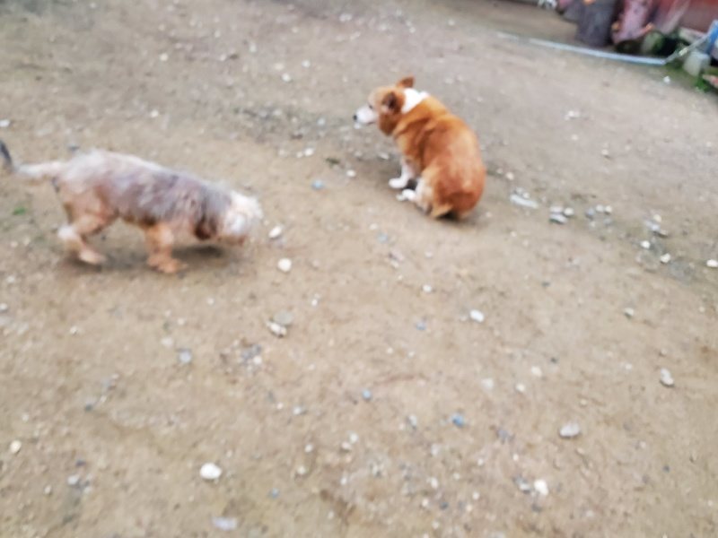 f:id:roukenhome-ann:20191022051425j:plain f:id:roukenhome-ann:20191022051425j:plain