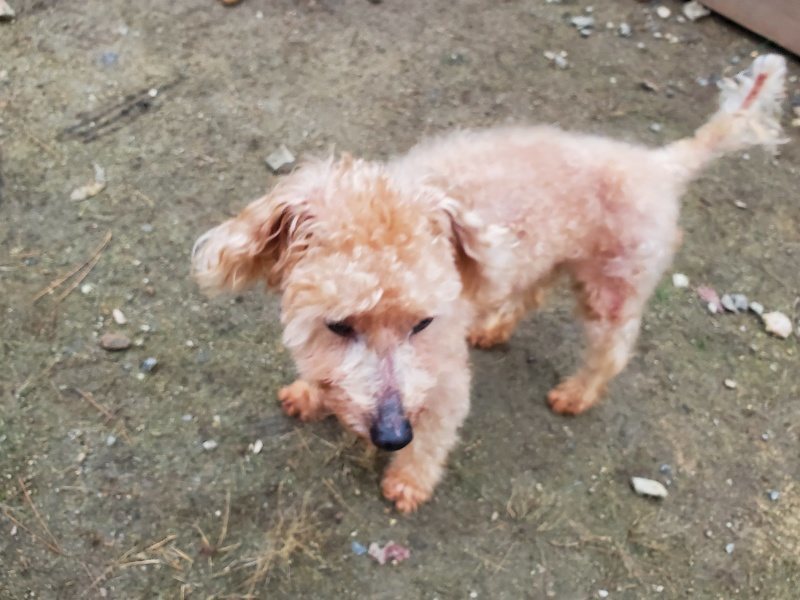 f:id:roukenhome-ann:20191022051429j:plain f:id:roukenhome-ann:20191022051429j:plain