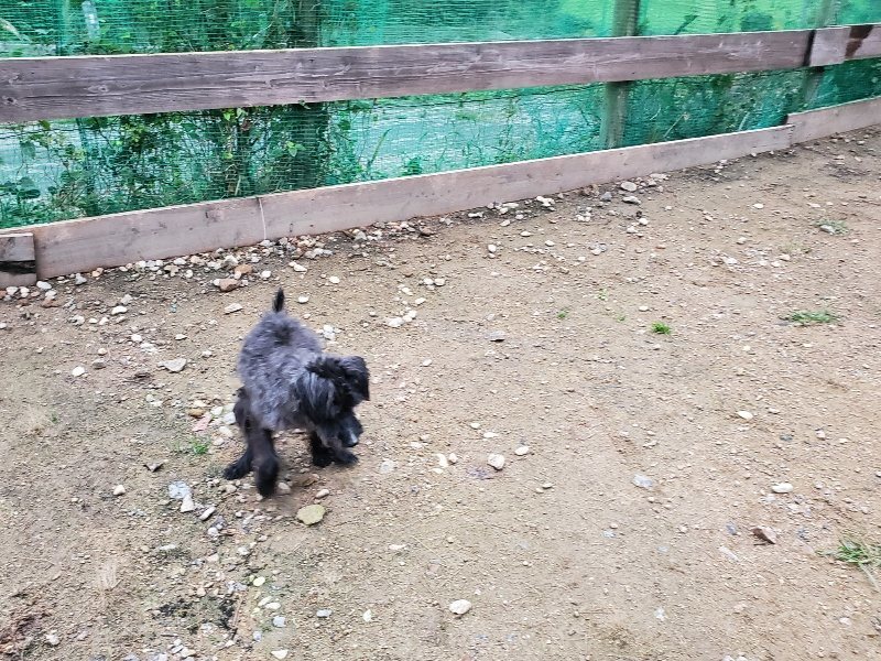 f:id:roukenhome-ann:20191022051457j:plain f:id:roukenhome-ann:20191022051457j:plain