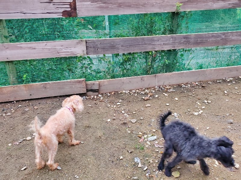 f:id:roukenhome-ann:20191022051502j:plain f:id:roukenhome-ann:20191022051502j:plain