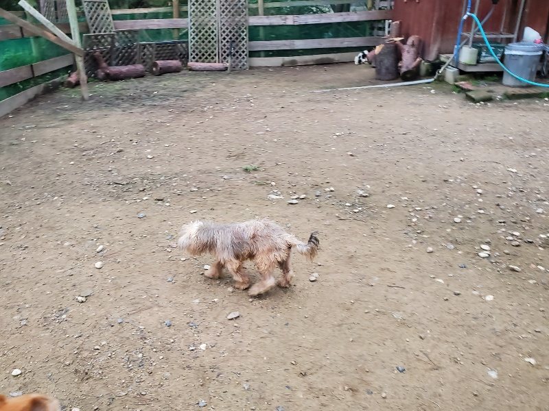 f:id:roukenhome-ann:20191022051508j:plain f:id:roukenhome-ann:20191022051508j:plain