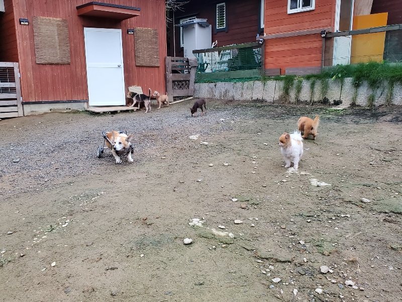 f:id:roukenhome-ann:20191022051515j:plain f:id:roukenhome-ann:20191022051515j:plain