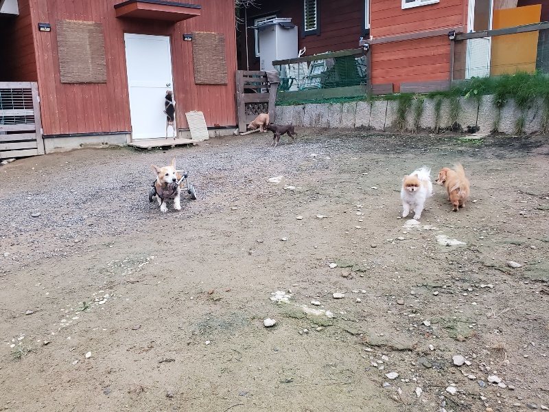 f:id:roukenhome-ann:20191022051523j:plain f:id:roukenhome-ann:20191022051523j:plain