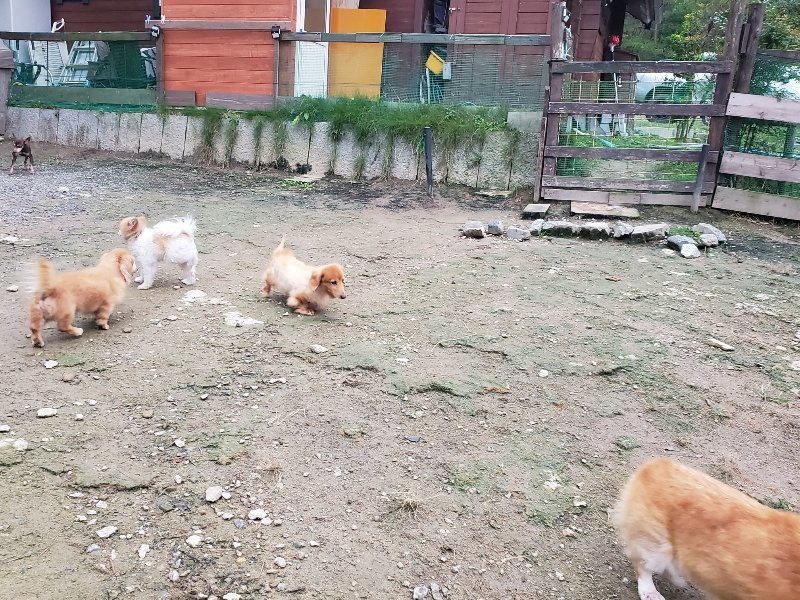 f:id:roukenhome-ann:20191022051529j:plain f:id:roukenhome-ann:20191022051529j:plain