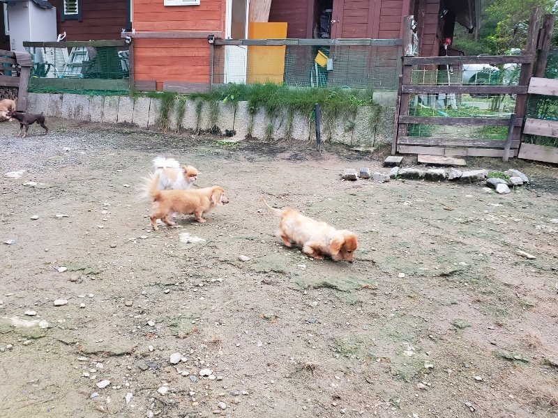 f:id:roukenhome-ann:20191022051539j:plain f:id:roukenhome-ann:20191022051539j:plain