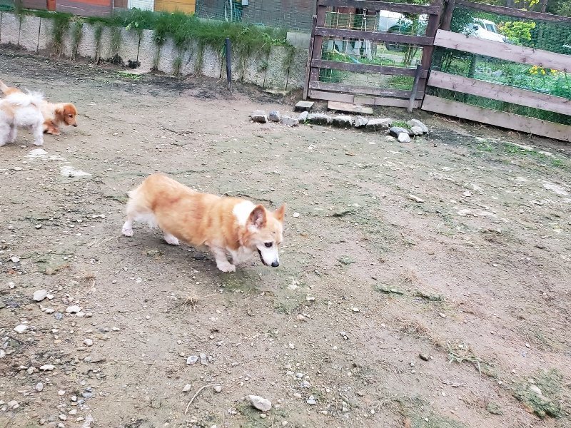 f:id:roukenhome-ann:20191022051545j:plain f:id:roukenhome-ann:20191022051545j:plain