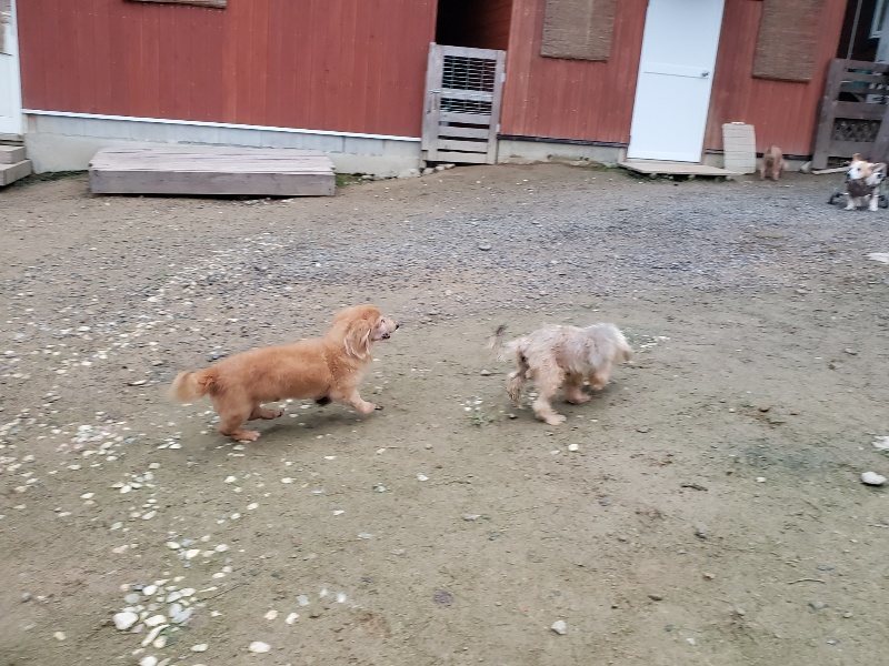 f:id:roukenhome-ann:20191022051551j:plain f:id:roukenhome-ann:20191022051551j:plain
