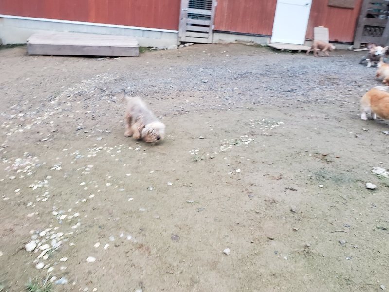 f:id:roukenhome-ann:20191022051557j:plain f:id:roukenhome-ann:20191022051557j:plain