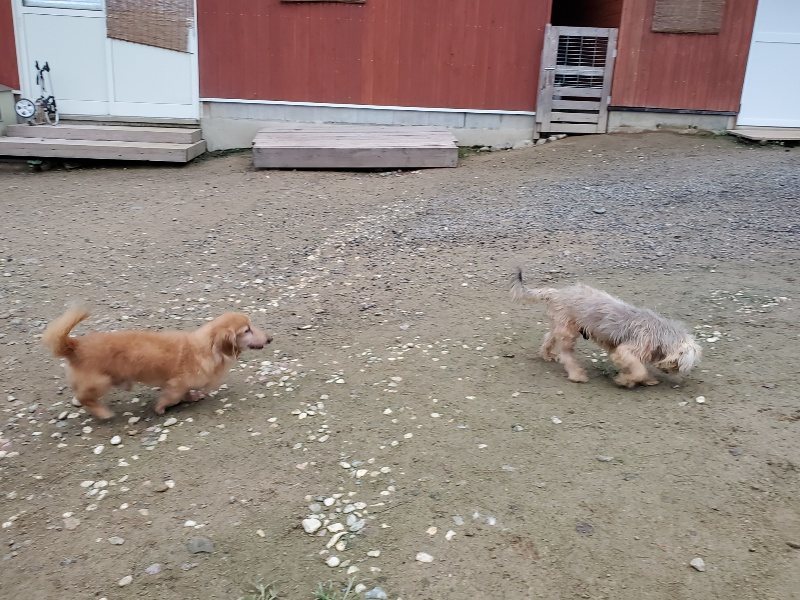 f:id:roukenhome-ann:20191022051604j:plain f:id:roukenhome-ann:20191022051604j:plain