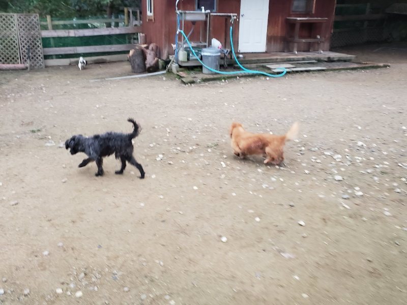 f:id:roukenhome-ann:20191022051608j:plain f:id:roukenhome-ann:20191022051608j:plain