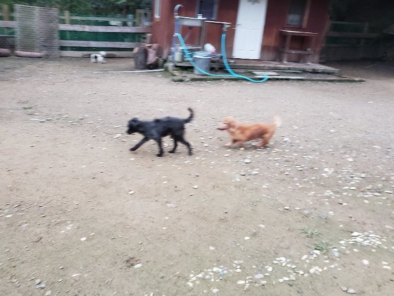f:id:roukenhome-ann:20191022051617j:plain f:id:roukenhome-ann:20191022051617j:plain