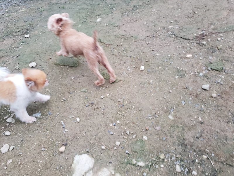 f:id:roukenhome-ann:20191022051625j:plain f:id:roukenhome-ann:20191022051625j:plain