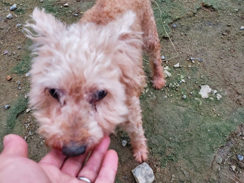 f:id:roukenhome-ann:20191022051639j:plain f:id:roukenhome-ann:20191022051639j:plain
