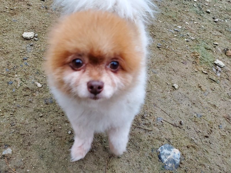 f:id:roukenhome-ann:20191022051652j:plain f:id:roukenhome-ann:20191022051652j:plain