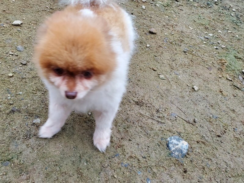 f:id:roukenhome-ann:20191022051659j:plain f:id:roukenhome-ann:20191022051659j:plain