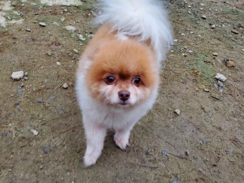 f:id:roukenhome-ann:20191022051706j:plain f:id:roukenhome-ann:20191022051706j:plain