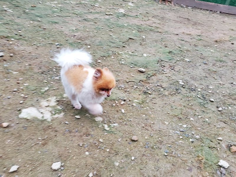 f:id:roukenhome-ann:20191022051713j:plain f:id:roukenhome-ann:20191022051713j:plain