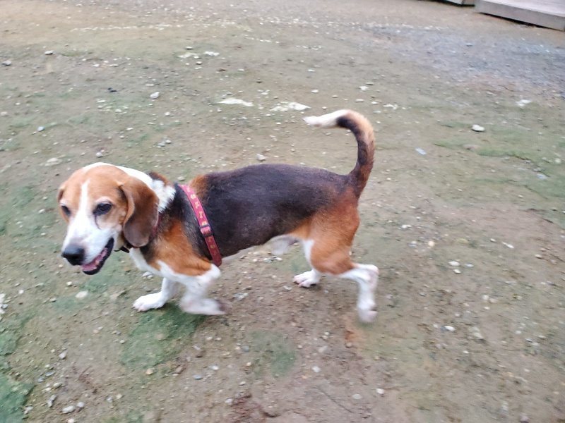 f:id:roukenhome-ann:20191022053117j:plain f:id:roukenhome-ann:20191022053117j:plain