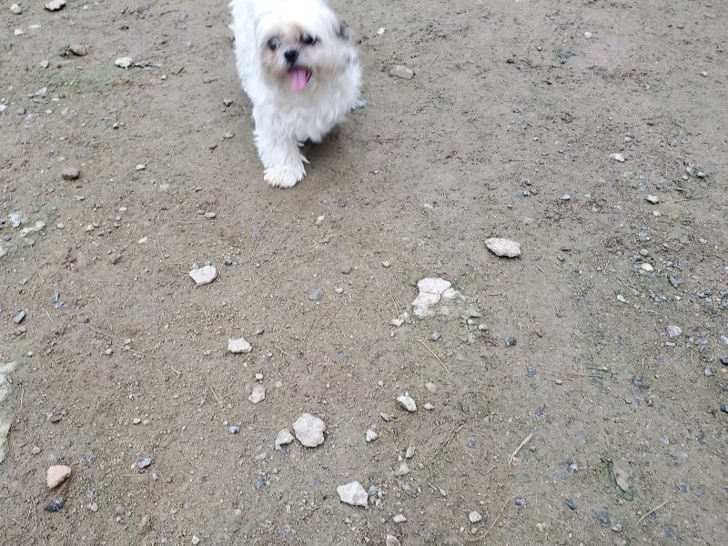 f:id:roukenhome-ann:20191022053144j:plain f:id:roukenhome-ann:20191022053144j:plain