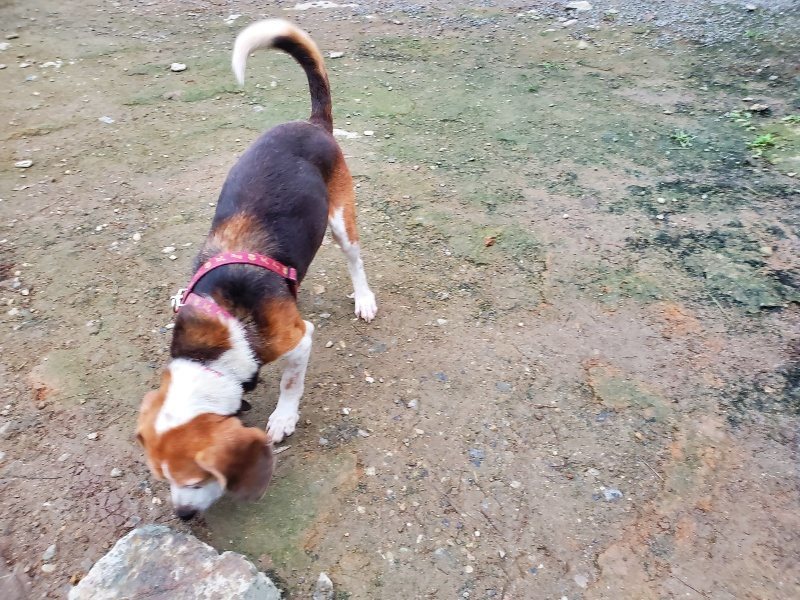 f:id:roukenhome-ann:20191022053313j:plain f:id:roukenhome-ann:20191022053313j:plain