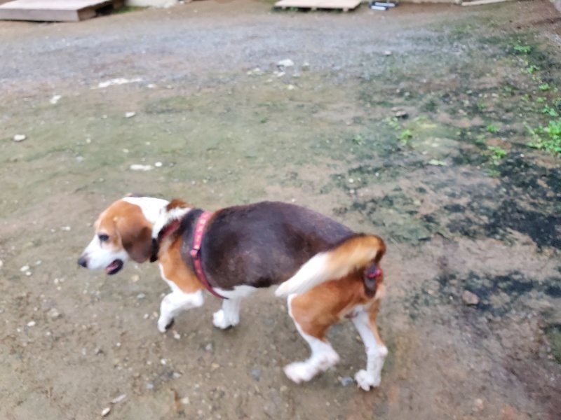 f:id:roukenhome-ann:20191022053335j:plain f:id:roukenhome-ann:20191022053335j:plain