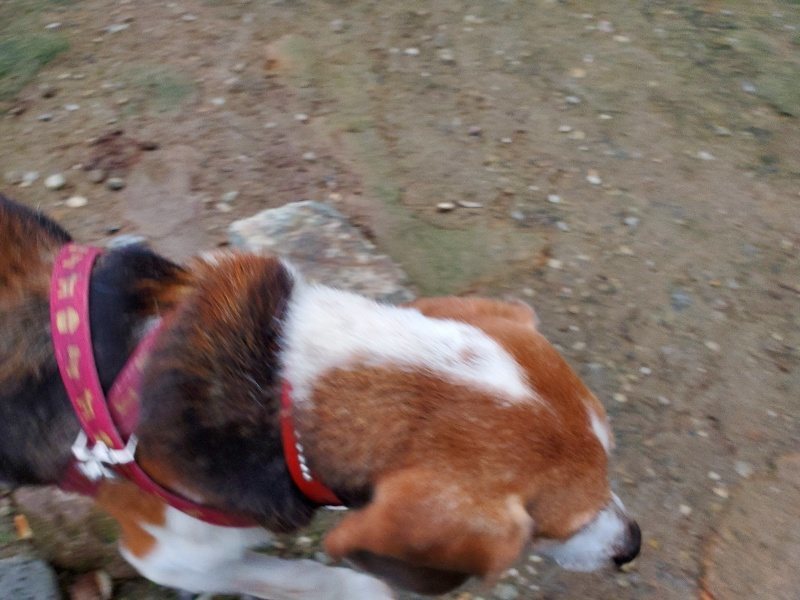 f:id:roukenhome-ann:20191022053346j:plain f:id:roukenhome-ann:20191022053346j:plain