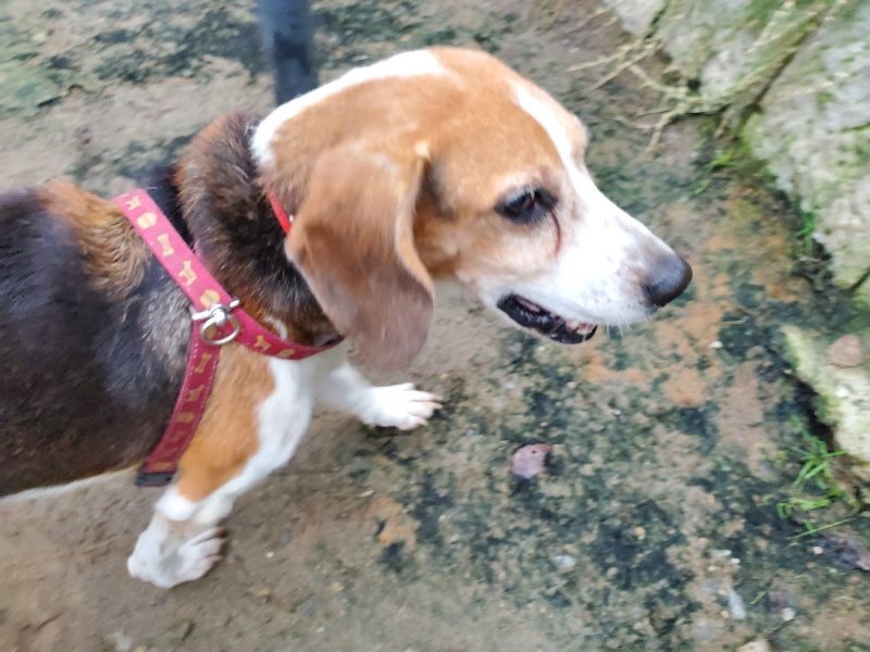 f:id:roukenhome-ann:20191022053354j:plain f:id:roukenhome-ann:20191022053354j:plain