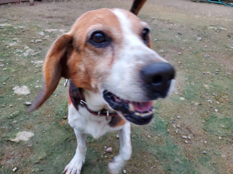 f:id:roukenhome-ann:20191022053359j:plain f:id:roukenhome-ann:20191022053359j:plain