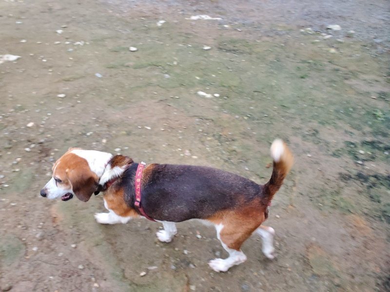 f:id:roukenhome-ann:20191022053407j:plain f:id:roukenhome-ann:20191022053407j:plain