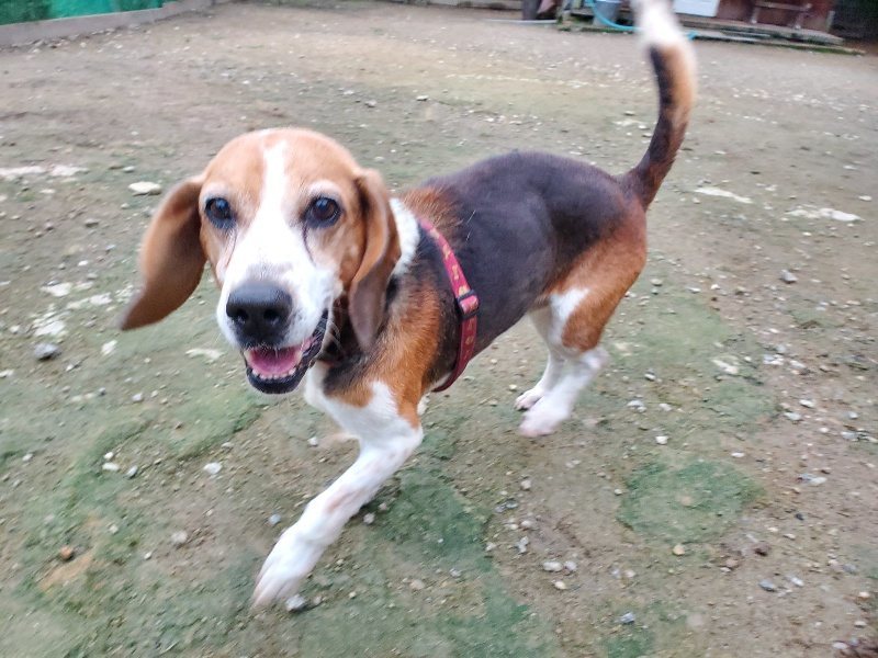 f:id:roukenhome-ann:20191022053411j:plain f:id:roukenhome-ann:20191022053411j:plain