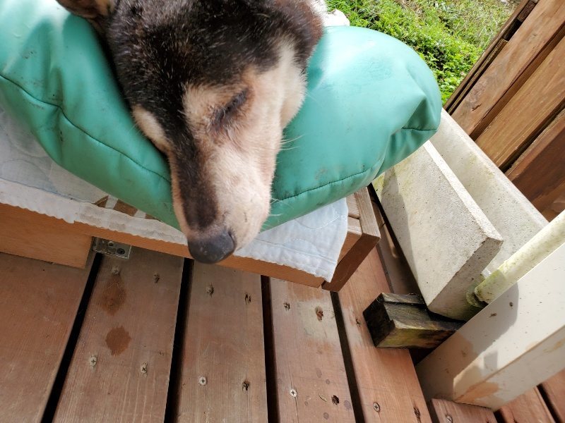 f:id:roukenhome-ann:20191022102331j:plain f:id:roukenhome-ann:20191022102331j:plain