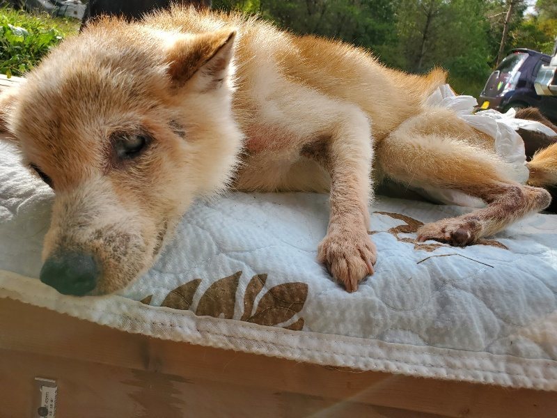 f:id:roukenhome-ann:20191022102534j:plain f:id:roukenhome-ann:20191022102534j:plain