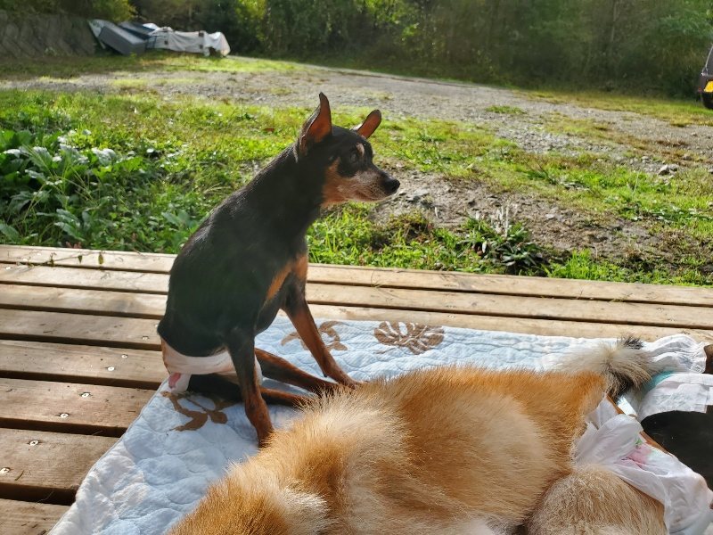 f:id:roukenhome-ann:20191022102541j:plain f:id:roukenhome-ann:20191022102541j:plain
