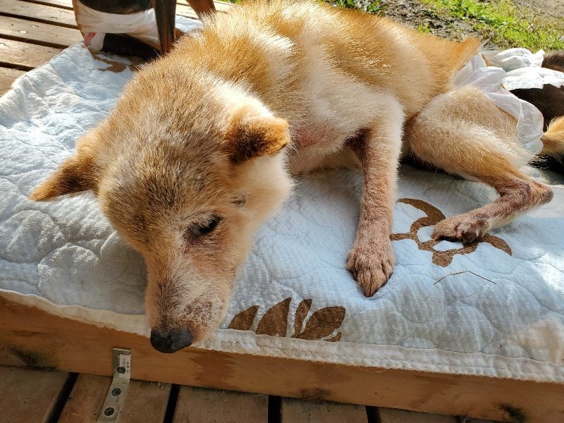 f:id:roukenhome-ann:20191022102557j:plain f:id:roukenhome-ann:20191022102557j:plain