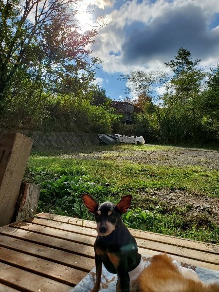 f:id:roukenhome-ann:20191022102620j:plain f:id:roukenhome-ann:20191022102620j:plain