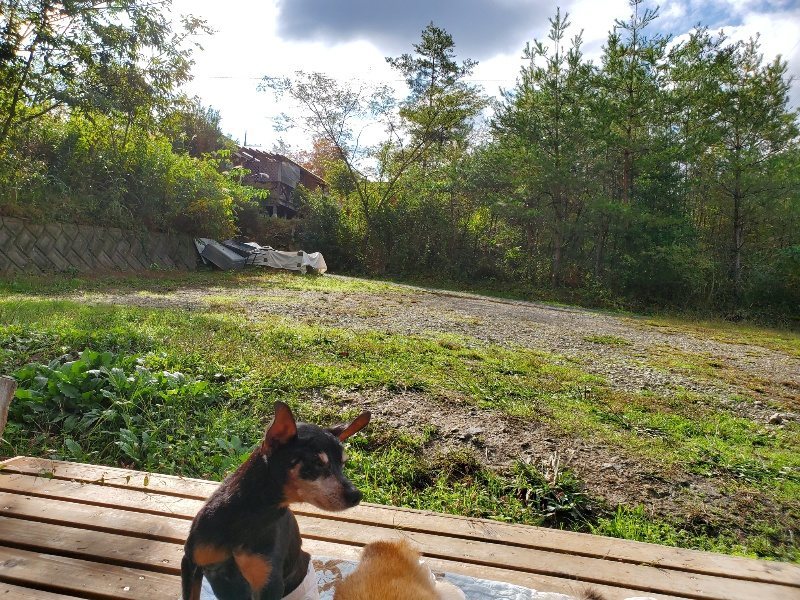 f:id:roukenhome-ann:20191022102628j:plain f:id:roukenhome-ann:20191022102628j:plain