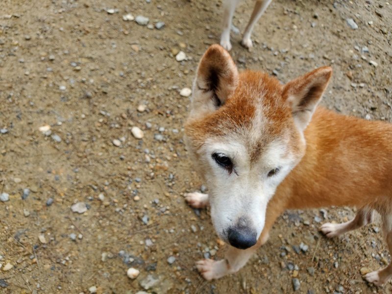 f:id:roukenhome-ann:20191022103453j:plain