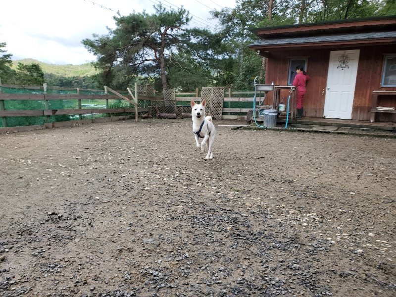 f:id:roukenhome-ann:20191022103551j:plain