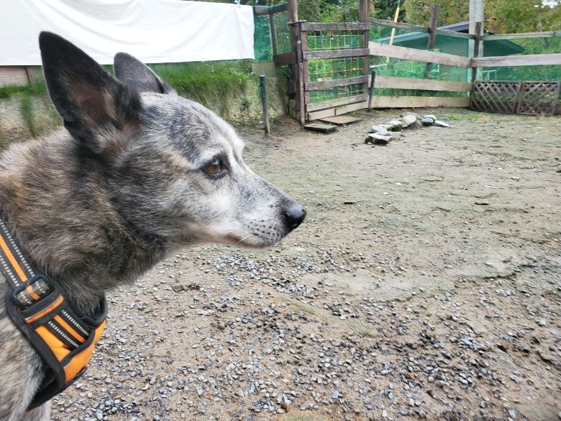 f:id:roukenhome-ann:20191022103646j:plain