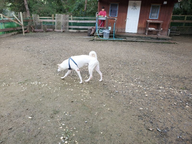 f:id:roukenhome-ann:20191022103723j:plain