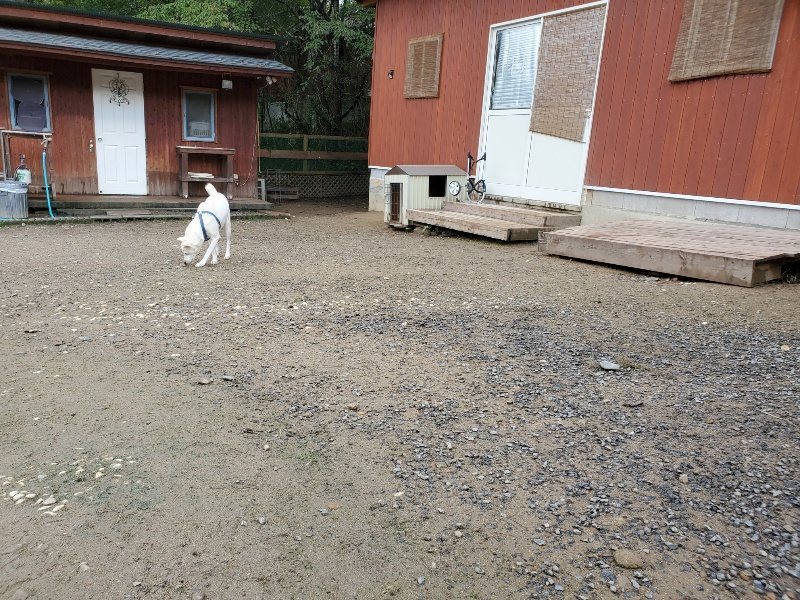 f:id:roukenhome-ann:20191022103739j:plain