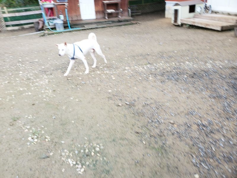 f:id:roukenhome-ann:20191022103745j:plain